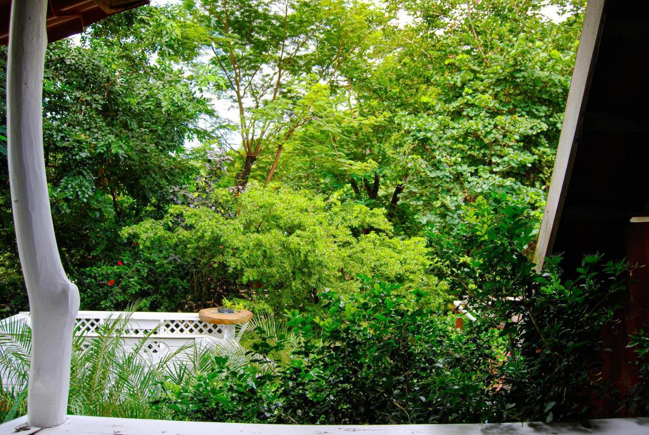 Vila Hacienda Sarah Nosara Exteriér fotografie